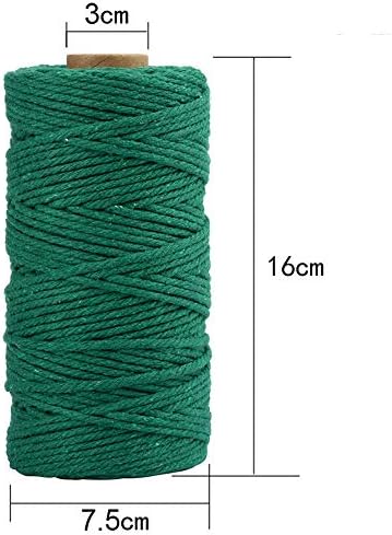 JJSJ Macrame Cord 2Roll 3 mm x 100 m Macramé Rope Cotton, Handmade Natural Cotton Cord Macrame String for Wall Hanging DIY, Plant Pot Hanger Craft Knitting Handmade Making (Beige, 2)