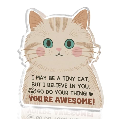 Yaxkvapu Emotional Support Cat Easter Basket Stuffers Cat Desk Decor Easter Egg Fillers Cute Stuff for Teen Girls Positive Cats Decor for Girls Inspirational You are Awesome Gifts for Women