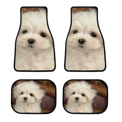 J[}bg 킢 ybg q R tA}bg  ԗptA}bg 4_Zbg y/ʎ O2E2 h~ ~ ېOK tȒP J[pi lGʗp