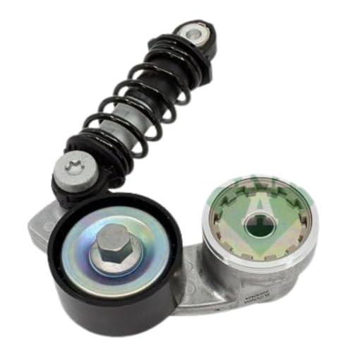 INA 534 0737 10 Galet tendeur de courroie d'accessoire
