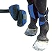 Intrepid International Mini Horse Splint Boots, Navy