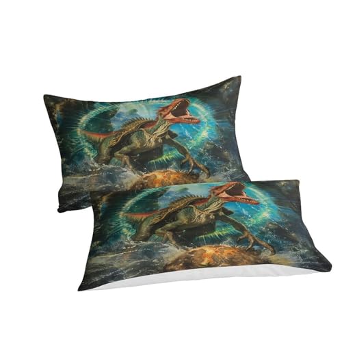 Housses de couettes 3 pièces dragon imprimé 3D microfibre haute densité