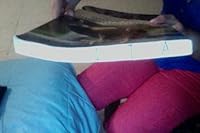 The Living Environment: Brief Review for New York 2006 edition 013250992X Book Cover