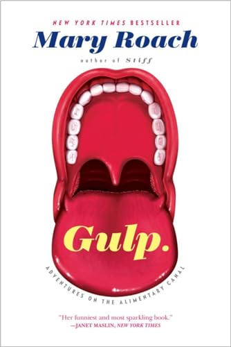 Gulp view 2