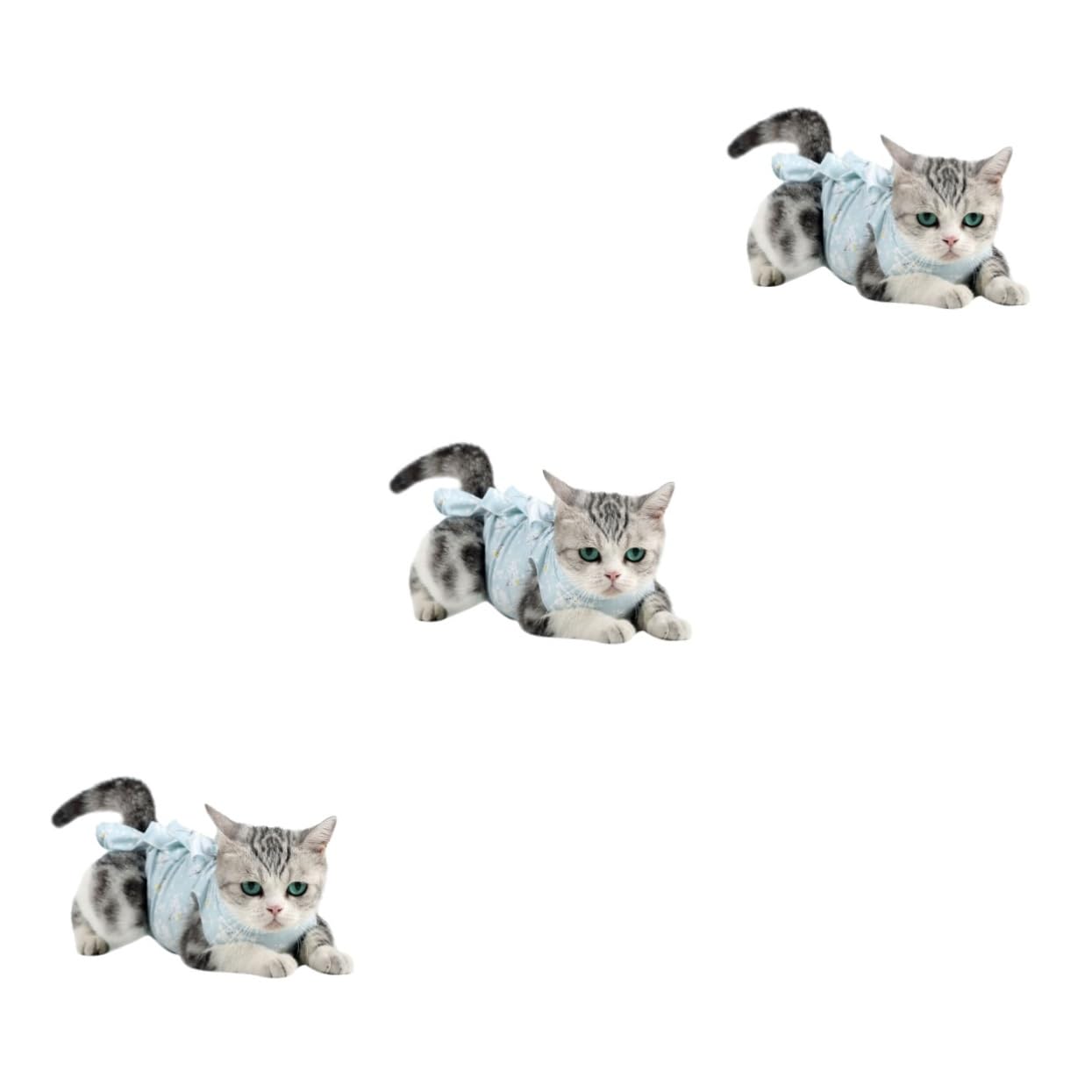 Ropa de para gatos FOMIYES anti-lamido: evita que se abra los puntos tras la esterilización