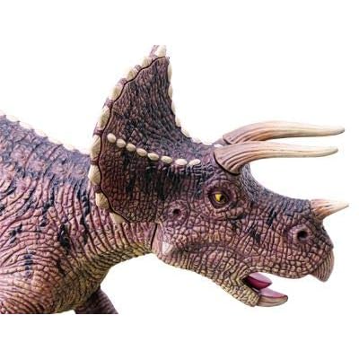 Tedco 4D Vision Triceratops Anatomy Model