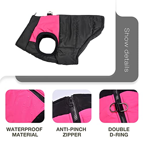 Lesypet Dog Cold Weather Coats, Small Dog Winter Snow Jacket With Pinch-Free Zipper, Dog Clothes With 2 D-Rings For Small Large Dog Girl #TOP2