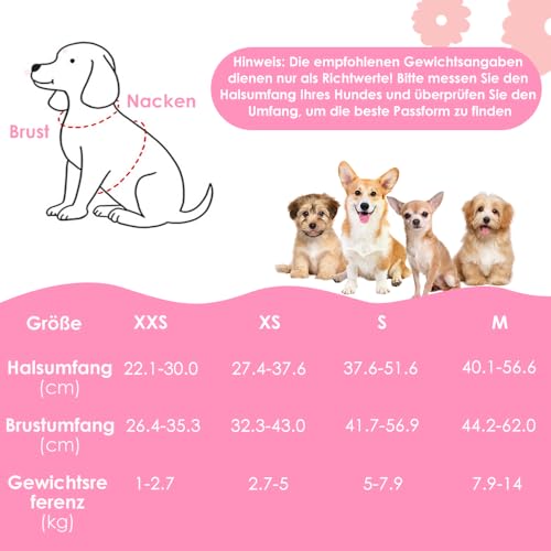 Eyein Hundegeschirr Kleine Hunde mit Leine, Atmungsaktiv Air Mesh Brustgeschirrmit reflektierenden Streifen, Verstellbarer Step-in Geschirr für extra kleine/kleine mittelgroße Hunde (Rosa, XXS)