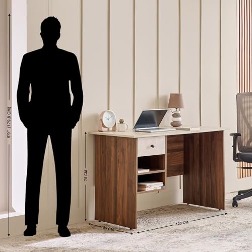 Image of Home Centre | Addison Study Desk with Drawer | Engineered Wood | Brown | 1 Year Warranty