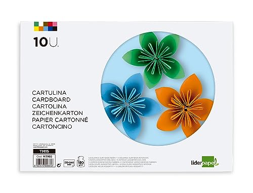 Liderpapel, Bloc para Trabajos Manuales, Bloc de Cartulinas para Manualidades, 10 Hojas, Bloc para Creatividad y Manualidades, 24x31,5 cm, 5 Hojas Neón y 5 Hojas Colores Intensos