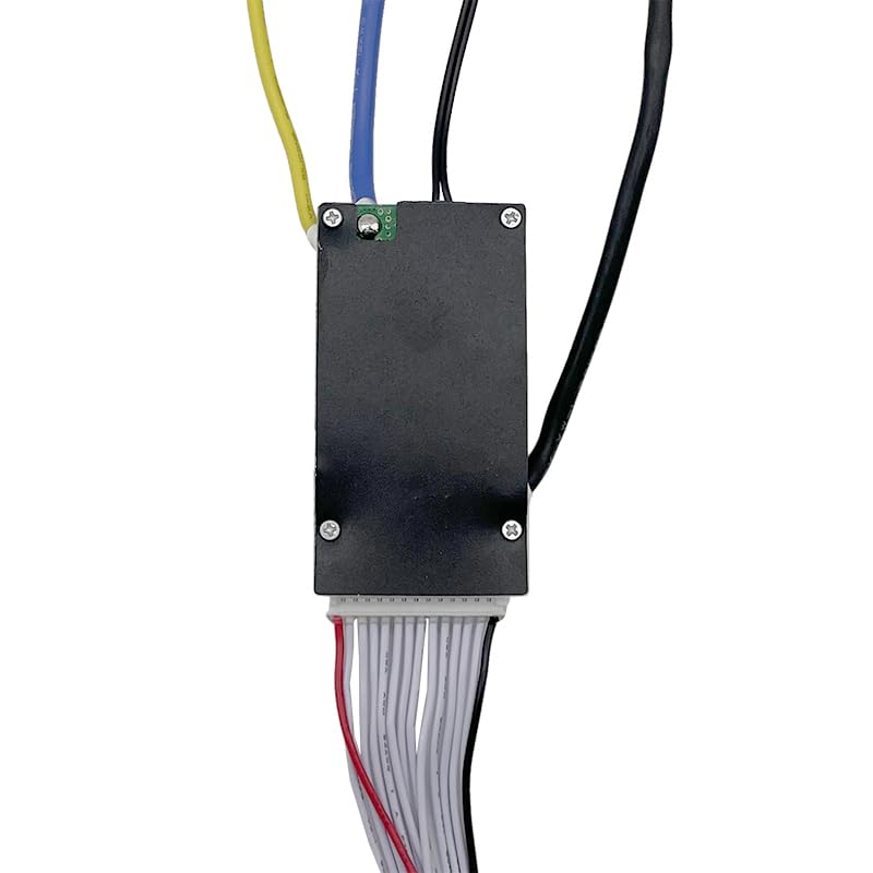 Amazon.com: BeMuchSafer 13S 30A 48V Battery BMS Separate Port with