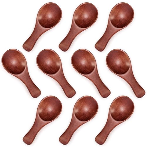 HANSGO 10PCS Small Wooden Spoons, 3.25 Inch Wooden Teaspoons, Cute Little Spoons for Spices, Bath Salt, Grains, Sugar, Coffee, Powder, Dessert, Loose-leaf Tea, Best Gifts, Sturdy & Lightweight