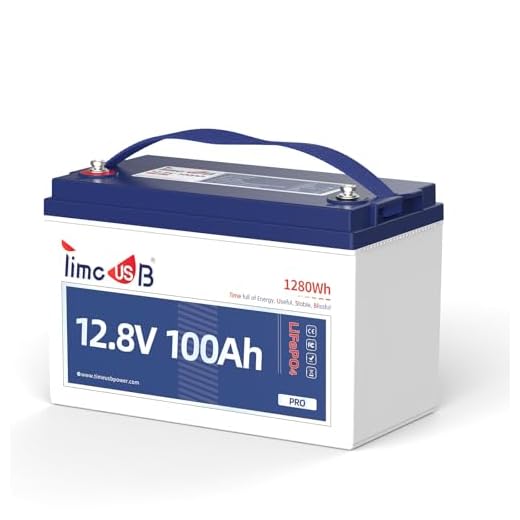 Timeusb 12V100Ah LiFePO4 Deep Cycle Battery
