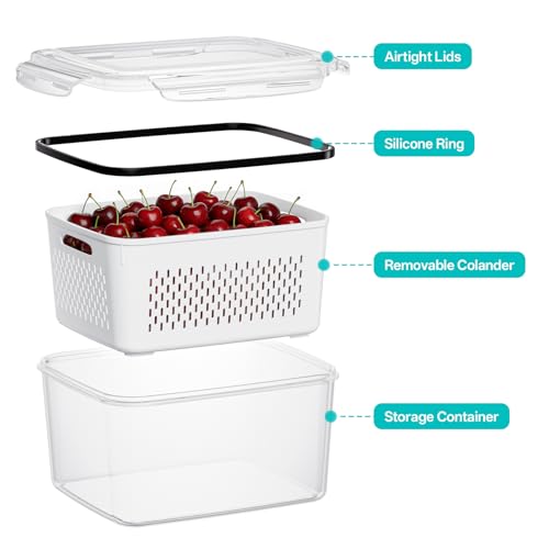4-Pack BPA-Free Produce Containers