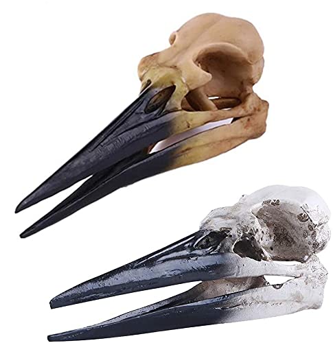 Sjdopulse A Nimal Skull Model - Pterosaur Dinosaur Skull Replic - Dinosaur Skull Skeleton Statue Model - For Home Statue Decor Replic Gifts,Scientific Educational Toy (A)