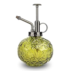 Spuitfles van glas, plantensproeier, vintage plantenspuit, gieter voor vetplanten, gietfles met pomp, plantenspray van glas voor tuinplanten (groen)