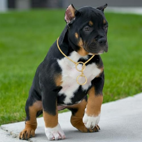 Image of Heavy Duty Choke Swivel Metal Dog Chain - Durable Training Collar with Strong Links & 360 Swivel for Medium & Large Dogs (Snake Chain 5 MM - Golden)