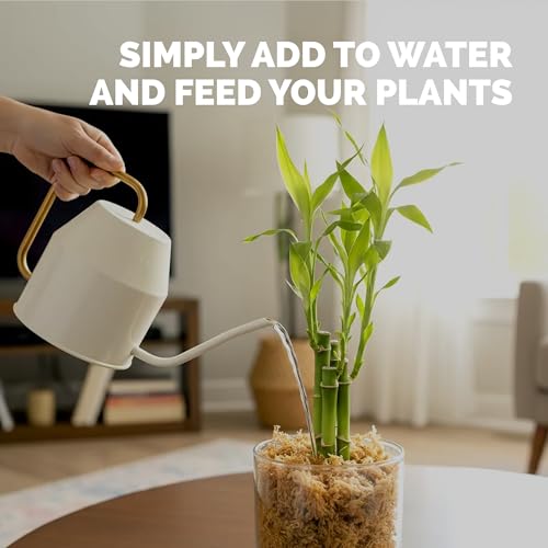 Fertilizante líquido Lucky Bamboo 8 oz miniatura 5