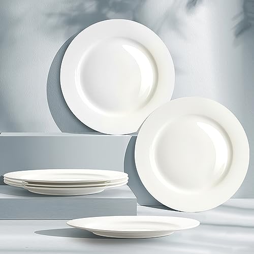 Iqcwood DINNER PLATES Set Of 6, 10.5 Inch Round Plates thumb #4