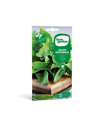 Eurogarden - Semillas de Salvia Officinalis, Planta aromática culinaria, 2 g - 2607