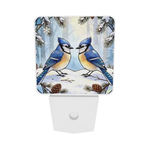 Image of Winter Hummingbirds Blue LED Plug-in Night Light 2 Pack, Nightlights Set of 2 for Bedroom Bathroom Stairs