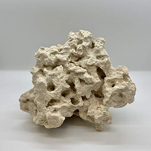 Reef Revive - Reef Rocks - Dry Live Rock for Salt/Freshwater Aquariums - Aquascaping - (20lb)