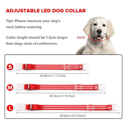 Feycig Leuchthalsband Hund USB Aufladbar - LED Hundehalsband Leuchtend Wasserdicht Leuchtendes Hunde Halsband Einstellbare für Kleine Mittlere Große Hunde, 3 Modi