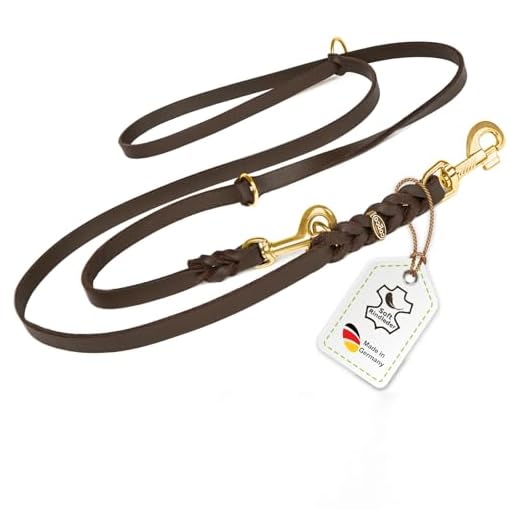 CopcoPet - Fettlederleine, Braun 2 m x 10 mm, 3-Fach verstellbare Hunde-Leine aus Leder mit Messing Karabinern, geflochtene Hunde-Führleine für kleine Hunde.
