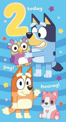 Bluey Birthday Card Age 2, Bluey 2Nd Birthday Card For Bluey Lovers