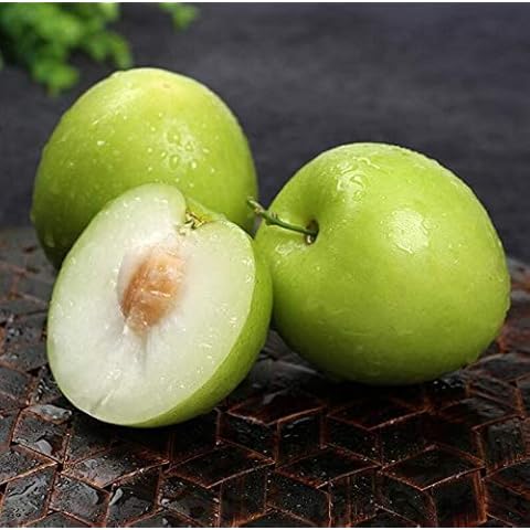 CHUXAY GARDEN Green Giant Sweet Jujube Fruit 20 Seeds Apple Jujube Delicious Fresh Fruit Gardening Grows in Garden and Pots Cover