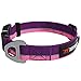 Hero - Heavy Duty Dog Collar | Tough Dog Collar | Reflective Dog Collar with Aluminium D-Ring Leash Clip | Separate Dog ID Tag Attachment Keeps Engraved Dog Tags Quiet | Easy Sizing for All Breeds