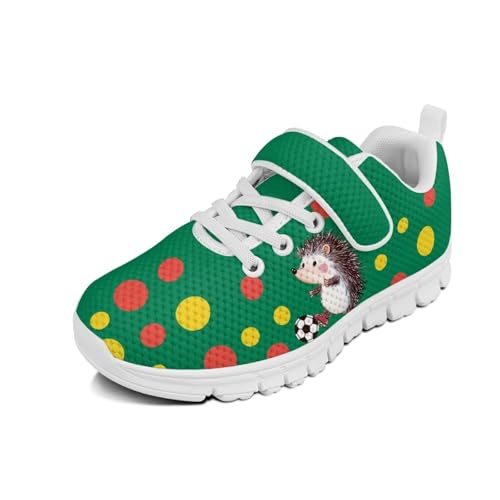Little Kid Boys Girls Shoes Lightweight Mesh Breathable Adorable Running Sneakers for Little Kid and Big Kid Hedgehog Soccer Pattern White Sole
