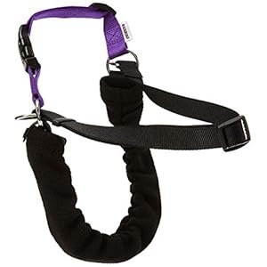 Ancol/Pure Dog Listeners – Stop Pulling Dog Training Harness & Lead Set – Large Size 7-8 (inc DVD)