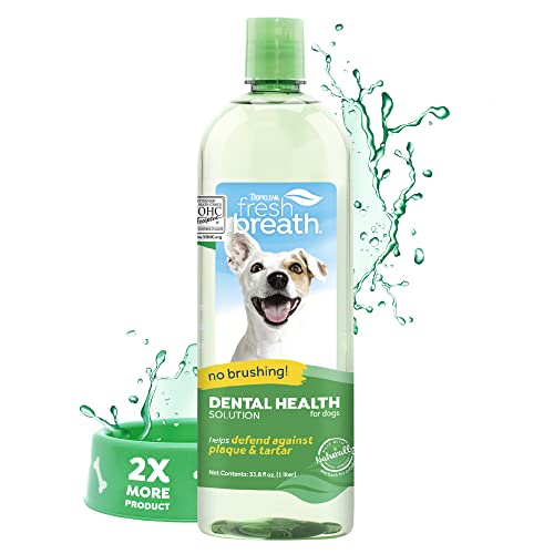 9 Best Toothpaste For Dogs In 2023 (Reviewed & Trusted)