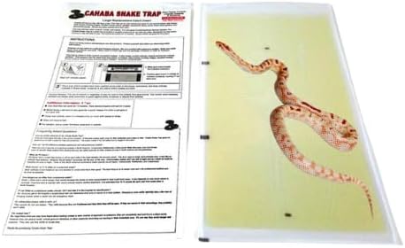 Large Replacement Catch Inserts (Glue Board) 6 Pack