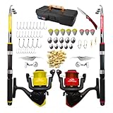 Kit de Pesca Completo com 2 Varas Telescópicas, 2 Molinetes, Anzóis, Boias, Chumbadas e Acessórios