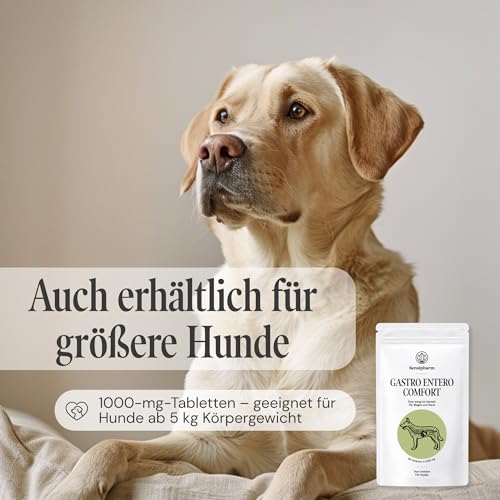 Gastro Entero Comfort 250 mg - Durchfall & Erbrechen bei Katzen, kleinen Hunden, Meerschweinchen & Kaninchen – pflanzliches Nahrungsergänzungsmittel für Magen & Darm – 90 Tabletten - Sensipharm