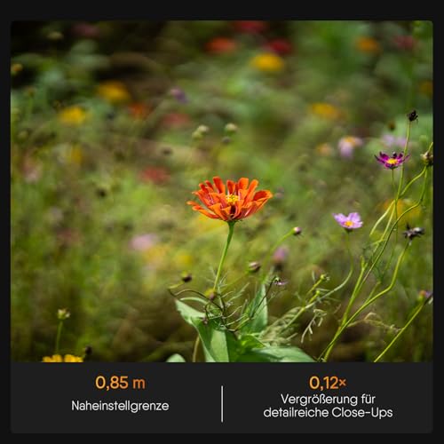 Rollei AF 85 mm F/1.8 Vollformat Objektiv für Nikon Z mit STM-Autofokus | HFT-X Beschichtung | Vollmetall Gehäuse 477g Kompatibel mit Kamera APS-C Z50/Z30/Zfc und Full Frame Z9/Z8/Z7/Z6/Z5 Series