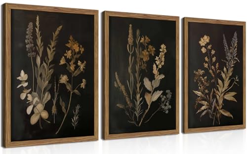 Framed Dark Botanical Wall Art Set of 3, Black Moody Floral Wall Decor Paintings...