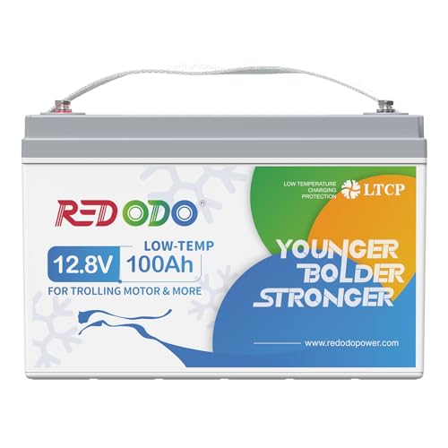 Redodo 12V 100Ah Lithium LiFePO4 Battery, Low-Temp Protection,...
