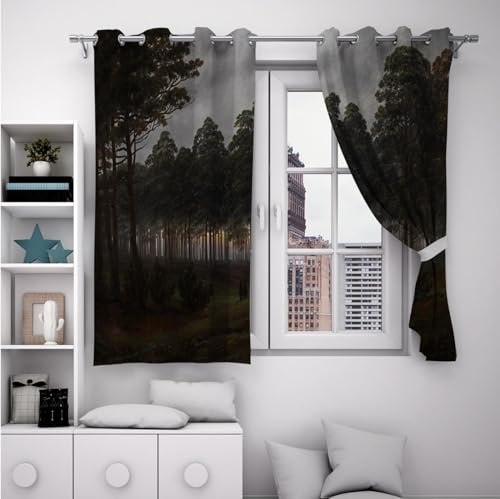 Rideaux à œillets assombrissants au design paysage raffiné