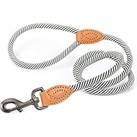Guinzaglio Per Cani Intrecciato Con Moschettone Sicuro - Design Elegante E Resistente