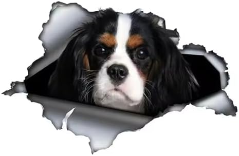 Cavalier King Charles Spaniel Aufkleber, Wasserfest, Reflektierend, 3D Zerrissener Effekt, Haustier Hund Lustige Aufkleber für Auto, Laptop, Kühlschrank ((15cm/5.91inch))