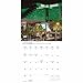 Carousel Calendars, Vegas Lux 2026 Wall Calendar, 12'' X 12'', 16-Month Calendar with Stapled Binding