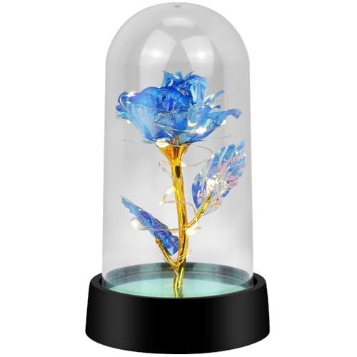 BLOCE Rose Flower Gifts for Women, Forever Rose, Galaxy Rose Flower Light Up in Glass Dome, Rose...
