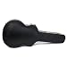 Fender Gretsch G6242L Hollow Body Guitar Case