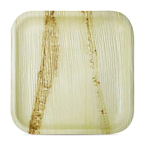 Palm Naki Square Palm Leaf Plates (40 Count) - Disposable Dinnerware, Eco-Friendly, Compostable and Biodegradable Plates (9" Plates)
