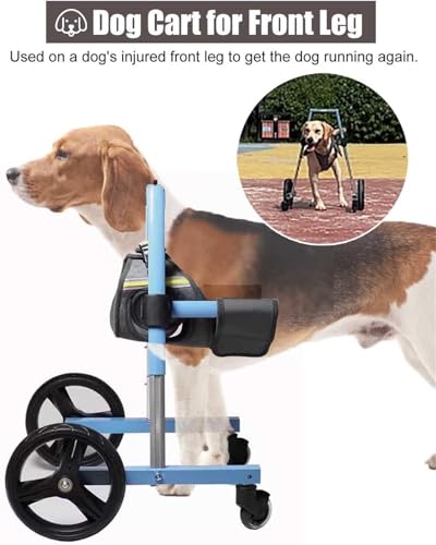 Amazon.co.jp: 後肢用の調節可能な犬用車いす – 負傷した犬のための