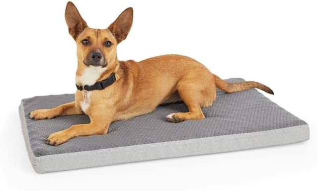 EveryYay by Petco Grey Cool Orthopedic Dog Crate Mat 30" L X 19" W X 2" H