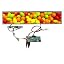 19'' 1920x360 IPS 300Nits LCD + USB SD Board